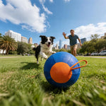 Swerkk™ Interactive Dog Ball