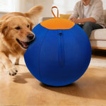 Swerkk™ Interactive Dog Ball