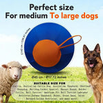 Swerkk™ Interactive Dog Ball
