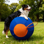 Swerkk™ Interactive Dog Ball