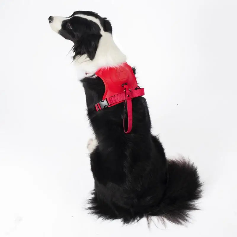 All In One Retractable Dog Leash Harness Anti-Escape No Pull Pet Vest Style Harness For Medium Large Dogs Walking
